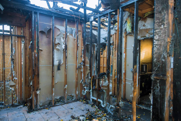 Professional Fire Damage Removal technician working in Halfway, MD